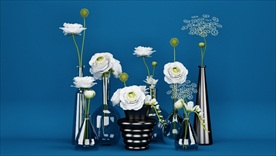 一组白玫瑰与满天星