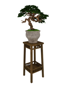 榕树植物盆栽3d模型