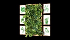 现代小清新绿植墙