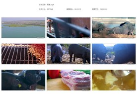 天然黑猪猪肉养殖宣传片