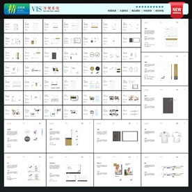 高端VI模板