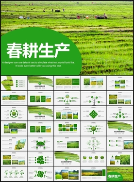 农耕春耕生产小麦水稻种植PPT