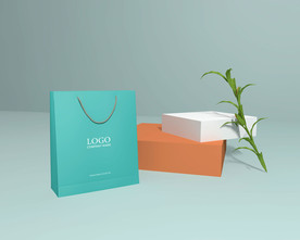 高端手提袋效果图图片