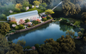 农村别墅绿化景观