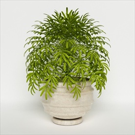 户外植物图片大全 户外植物设计素材 户外植物模板下载 户外植物图库 昵图网soso Nipic Com