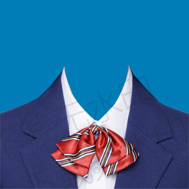 领花证件照衣服