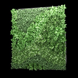 绿色植物墙
