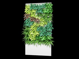 绿植墙