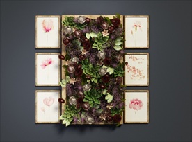 漂亮多肉绿植装饰墙