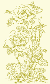 中式花纹牡丹图案