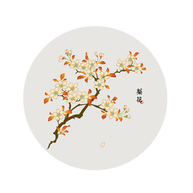 花卉梨花矢量素材