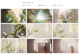 唯美阳光花朵植物生长蝴蝶采花