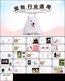 宠物可爱萌宠小猫宠物医院ppt