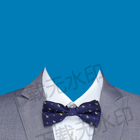 蓝色领结灰色西装