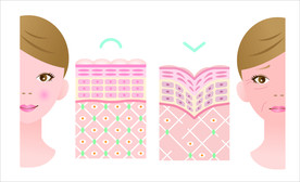 皮肤化妆品后变化过程