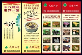 山珍野菌海海报