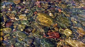 河流 河水 水纹 阳光 闪耀