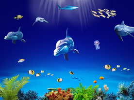 海底世界海底生物