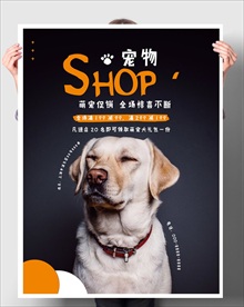 宠物店促销