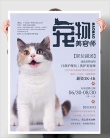 招聘宠物美容师