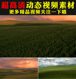 高山草地草原大自然景色视频素材