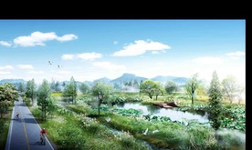 自行车道景观湿地