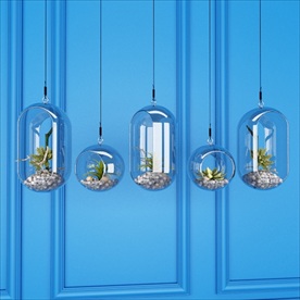 玻璃吊装花盆植物