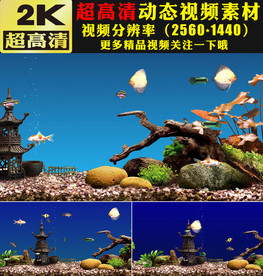 水族馆海底世界海洋海鱼金鱼视频