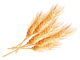 麦穗 大牌 潮流 设计