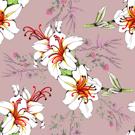 简约  叶子花  花卉 大牌