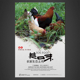 农家生态土鸡