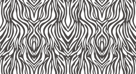 时尚斑马纹矢量图
