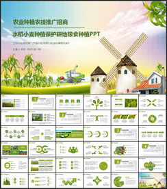 水稻小麦种植保护耕地粮食种植