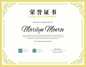 荣誉证书时尚横版证书