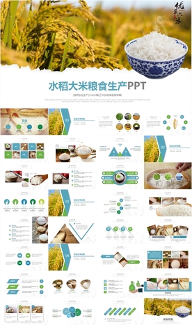 水稻五常有机大米PPT模板农业