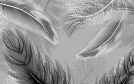 高清 羽毛装饰画 TIF分层