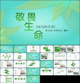 敬畏生命植物成长树苗生长ppt