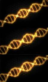 金色粒子基因生物链视频素材