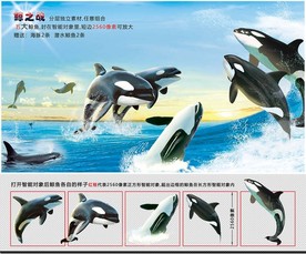 鲸鱼海报 鲸鱼分层素材