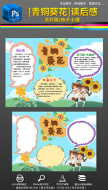 读书名著铜葵花读后感手抄报小报