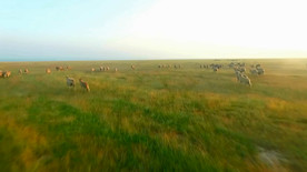 天蓝蓝 舞蹈舞台大屏幕背景视频