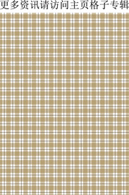 清爽格子 格纹面料