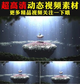 梦幻白色羽毛花瓣粒子飘落视频