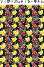 热带水果图案 火龙果 香蕉