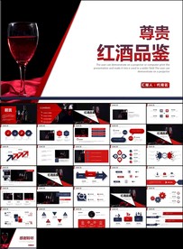 画册洋酒葡萄酒红酒文化ppt