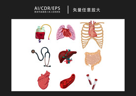 矢量医学人体器官内脏插画