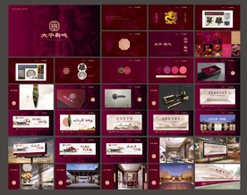 端中式红色龙脉房地产VI