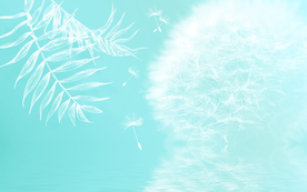 蒲公英背景装饰画