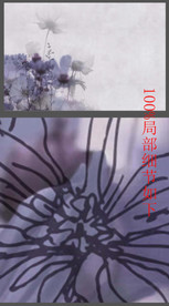 欧式清新时尚手绘线条花朵