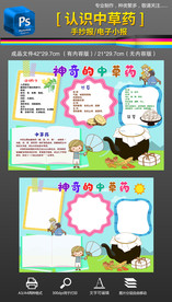 认识中草药神奇中药手抄报小报